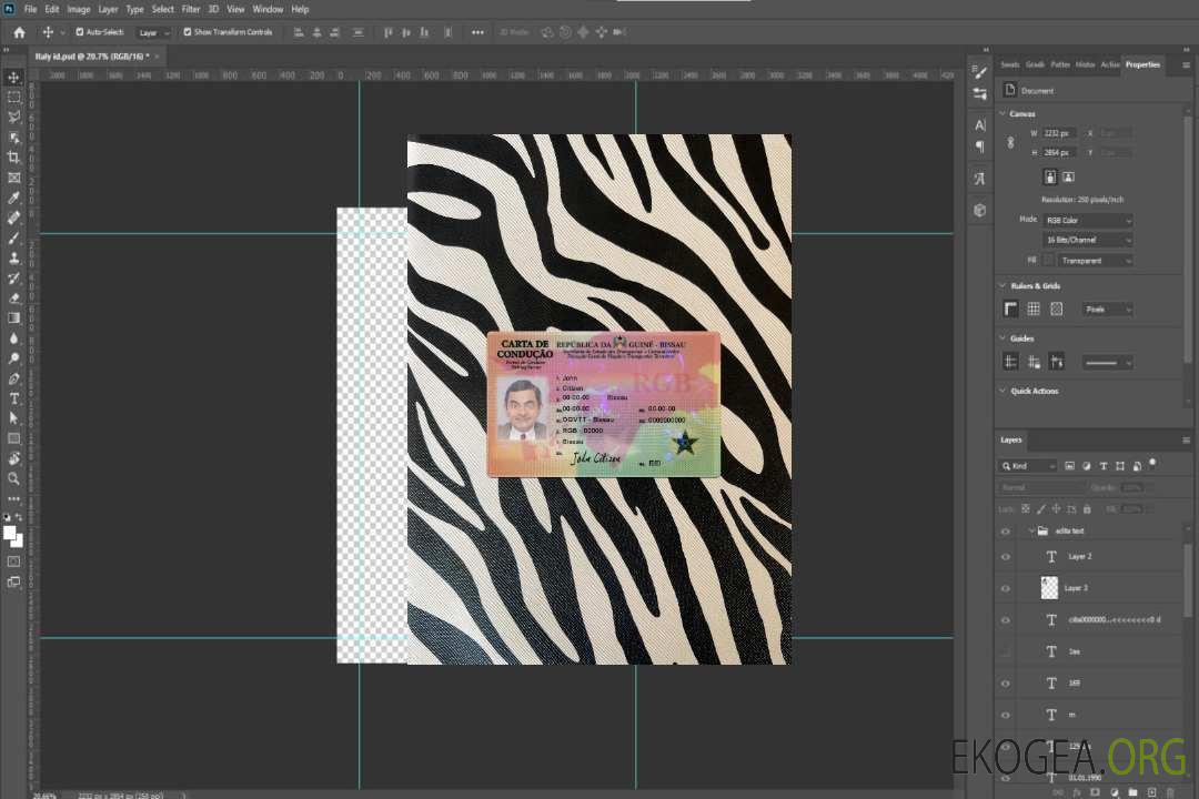 Photolook recto du permis de conduire de Guinée-Bissau template Photolook recto du permis de conduire de Guinée-Bissau template